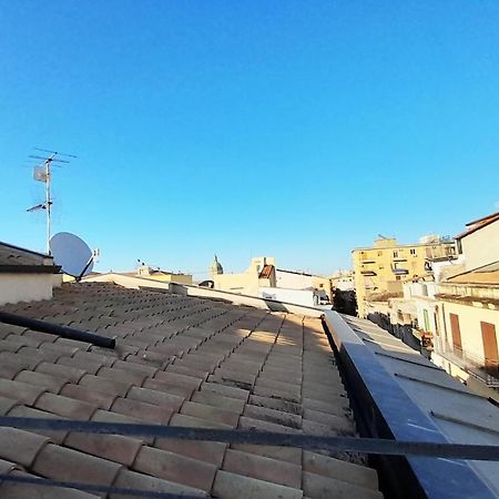 Terrace With View Attic In Old Town Ballarhome パレルモ エクステリア 写真